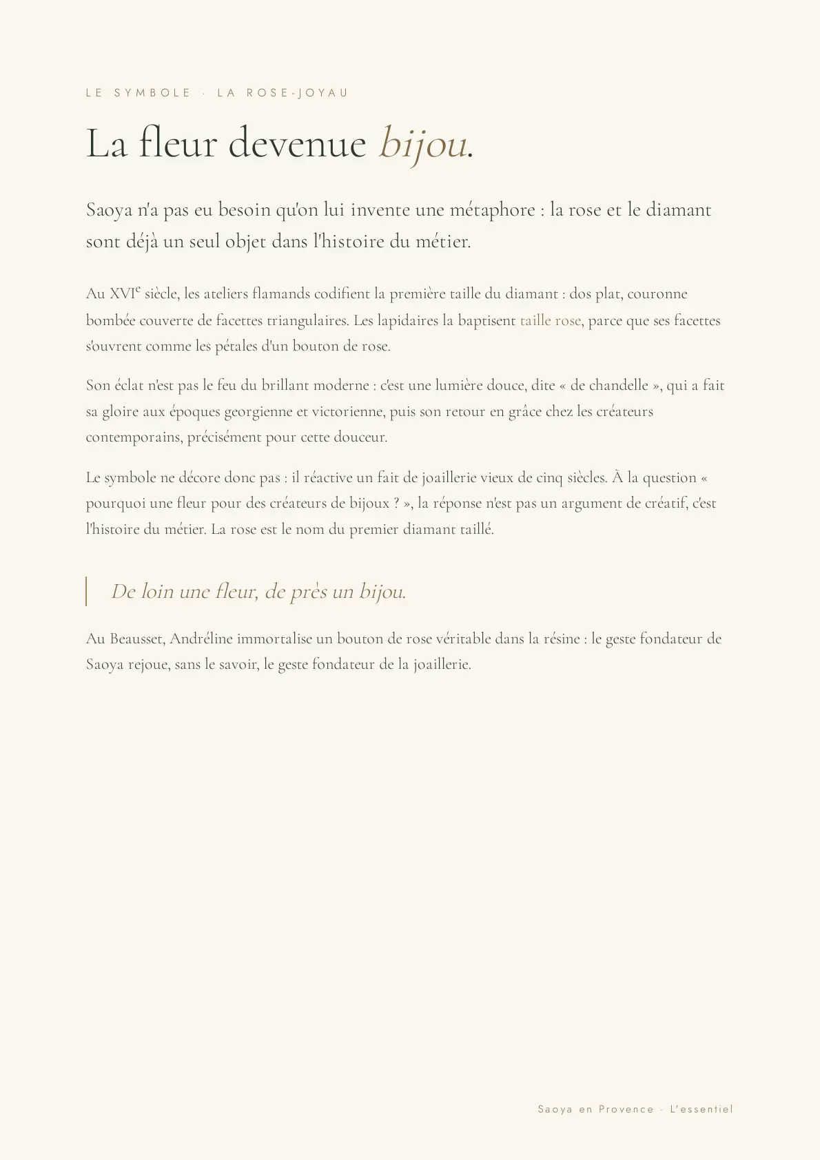 Planche présentant le concept de la rose-joyau pour SAOYA